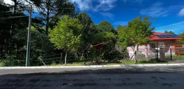 Lote/Terreno à venda, 542m² no Ipê Amarelo, Gramado