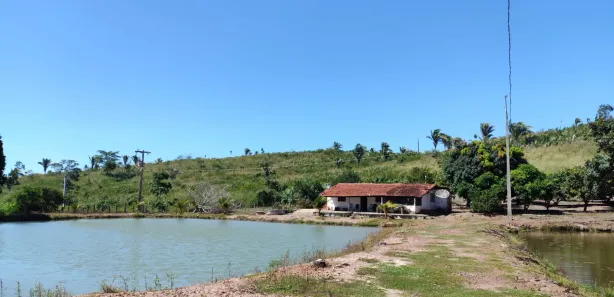 Fazenda/Sítio com 3 Quartos à venda, 1890000m² no , Coroatá