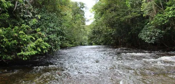 Lote/Terreno à venda, 200000m² no , Presidente Figueiredo