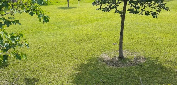 Fazenda/Sítio com 3 Quartos à venda, 200m² no Corrêas, Petrópolis