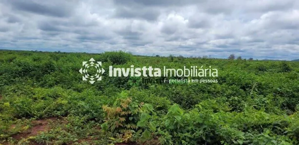 Fazenda/Sítio à venda, 3330m² no Centro, Estreito