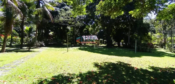 Fazenda/Sítio com 5 Quartos à venda, 5000m² no Tinguí (Sampaio Correia), Saquarema