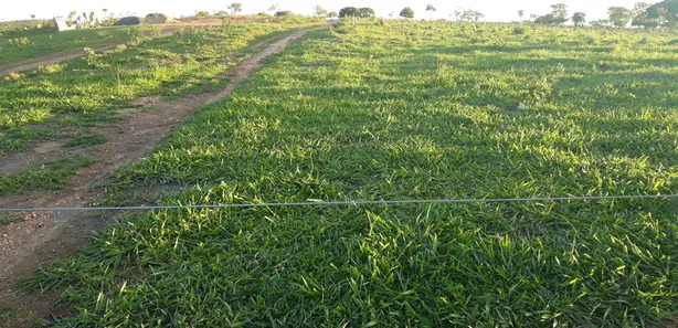 Lote/Terreno à venda, 20000m² no , Araçaí