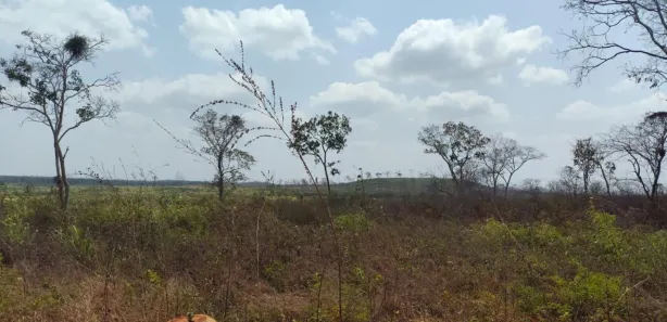 Fazenda/Sítio à venda, 560m² no , Coroatá