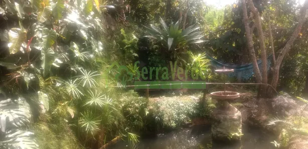 Casa com 4 Quartos para alugar, 600m² no Pedro do Rio, Petrópolis