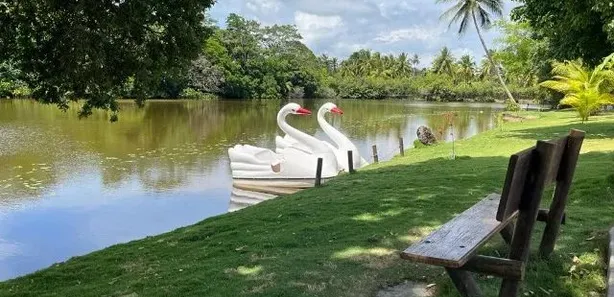 Casa com 4 Quartos à venda, 200m² no Praia de Tairu, Vera Cruz