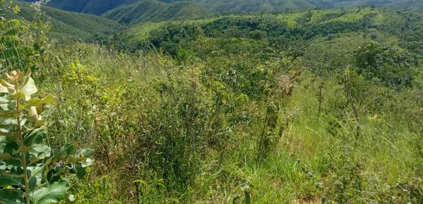 Fazenda/Sítio com 2 Quartos à venda, 4140000m² no , Padre Bernardo