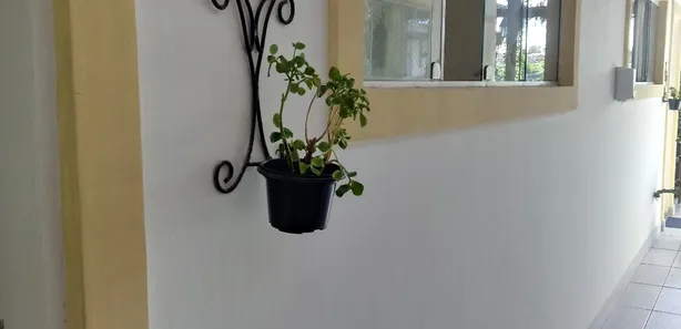 Flat com 1 Quarto para alugar, 35m² no Candelária, Natal