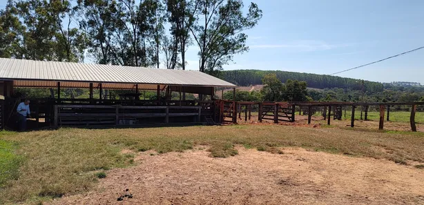 Fazenda/Sítio com 3 Quartos à venda, 90m² no , Jaraguá