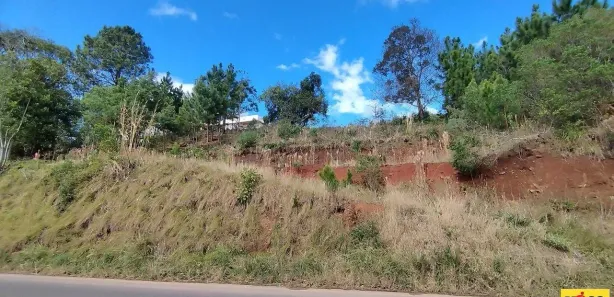 Lote/Terreno à venda, 613m² no Linha Olinda, Nova Petrópolis