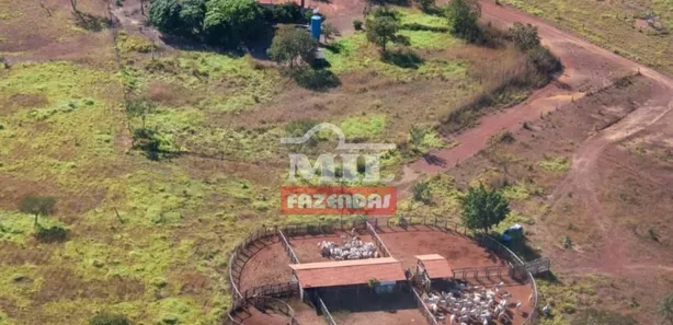 Fazenda/Sítio à venda, 500m² no , Buritis