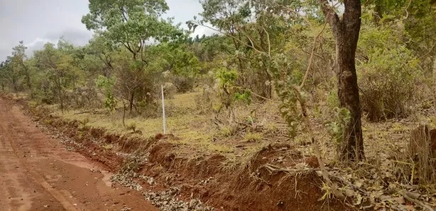 Lote/Terreno à venda, 20000m² no , Paraopeba