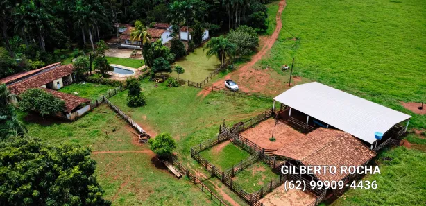 Fazenda/Sítio à venda, 968000m² no Área Rural, Goianira