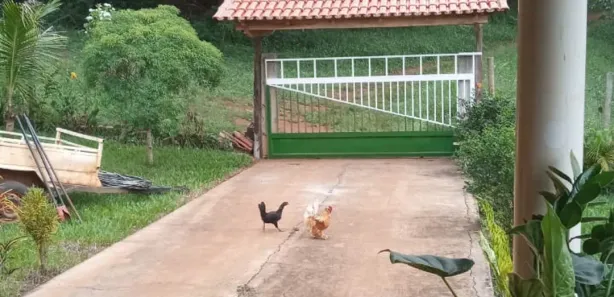Imagem do imóvel