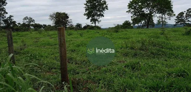 Fazenda/Sítio à venda, 484000m² no , Bonfinópolis