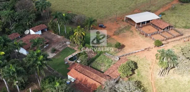 Fazenda/Sítio com 3 Quartos à venda, 960000m² no Área Rural, Goianira