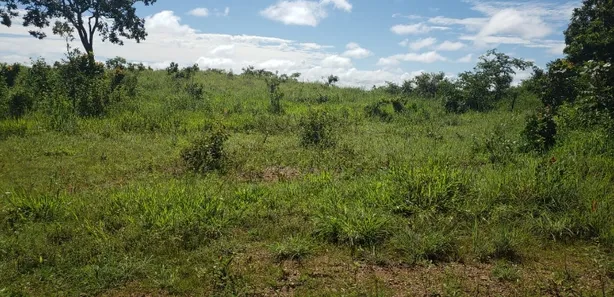 Fazenda/Sítio à venda no , Padre Bernardo