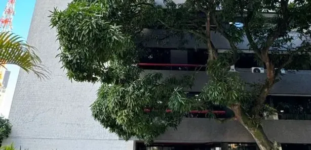 Apartamento com 4 Quartos à venda, 230m² no Canela, Salvador