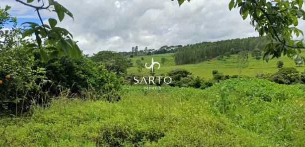 Fazenda/Sítio com 2 Quartos à venda, 7000m² no , Campo Limpo de Goiás