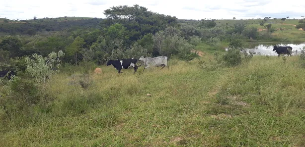Lote/Terreno à venda, 20000m² no , Araçaí