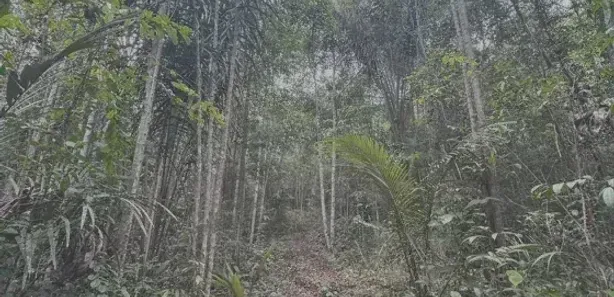 Lote/Terreno à venda, 652m² no , Rio Preto da Eva