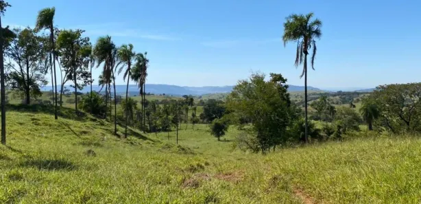 Fazenda/Sítio com 4 Quartos à venda, 2420000m² no Vila Santa Terezinha, Inhumas