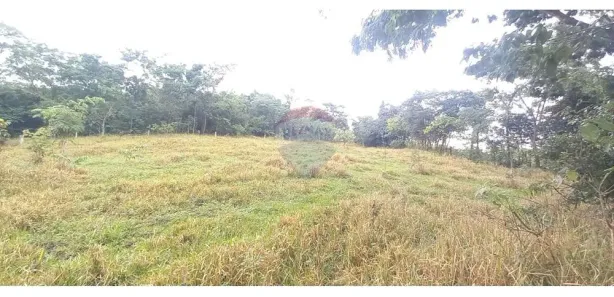 Fazenda/Sítio com 2 Quartos à venda, 30000m² no Área Rural de Brazlândia, Brasília