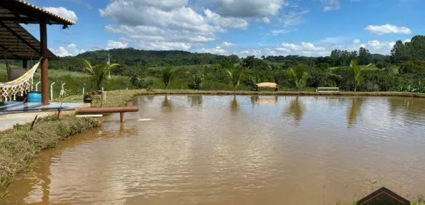 Fazenda/Sítio à venda, 24200m² no , Leopoldo de Bulhões