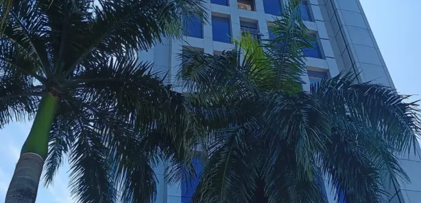 Sala Comercial para alugar, 440m² no Presidente Vargas, Manaus