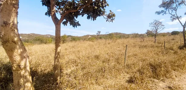 Fazenda/Sítio à venda, 20000m² no Setor de Habitações Individuais Sul, Brasília