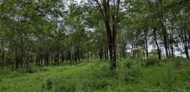 Lote/Terreno à venda, 20000m² no Zona Rural, Fortuna de Minas