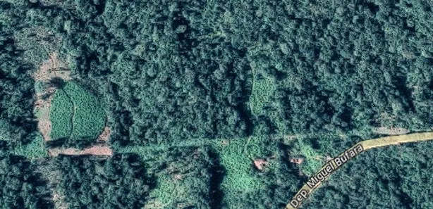 Fazenda/Sítio à venda, 121000m² no Potinga, Guaraqueçaba