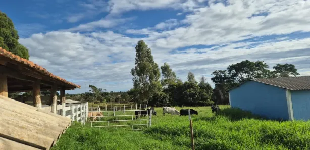 Fazenda/Sítio com 4 Quartos à venda, 618000m² no Setor Norte, Brasília
