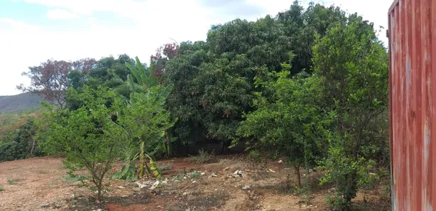 Lote/Terreno à venda, 4681m² no Palmital, Lagoa Santa