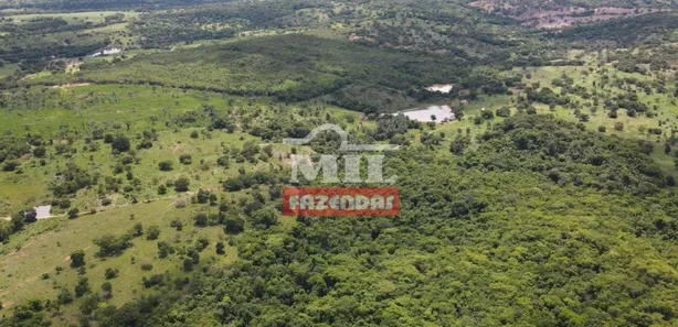Fazenda/Sítio com 4 Quartos à venda, 500m² no , Goiás
