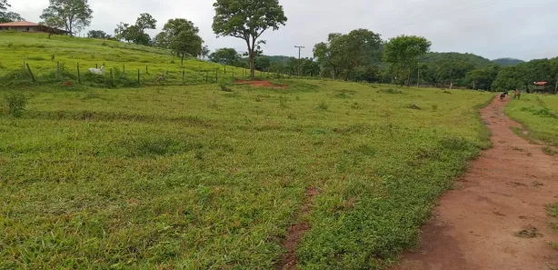 Fazenda/Sítio com 3 Quartos à venda, 130000m² no , Padre Bernardo