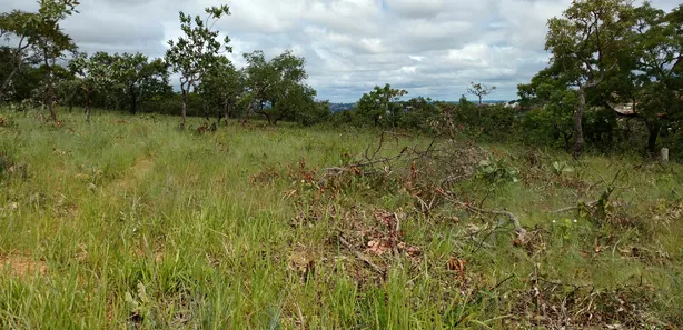 Lote/Terreno à venda, 1000m² no Campinho, Lagoa Santa
