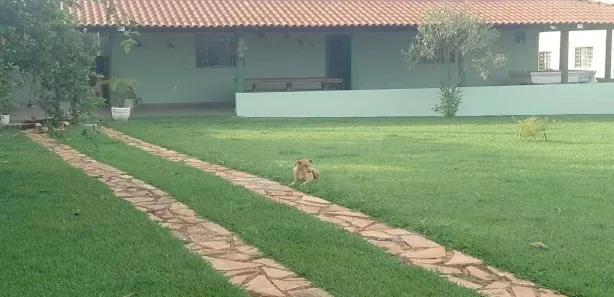 Fazenda/Sítio com 4 Quartos à venda, 150m² no , Campo Limpo de Goiás