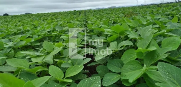 Fazenda/Sítio com 3 Quartos à venda, 190m² no , Niquelândia