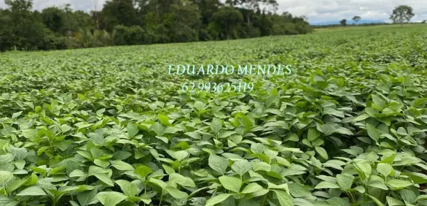 Fazenda/Sítio com 3 Quartos à venda, 2178000m² no , Niquelândia