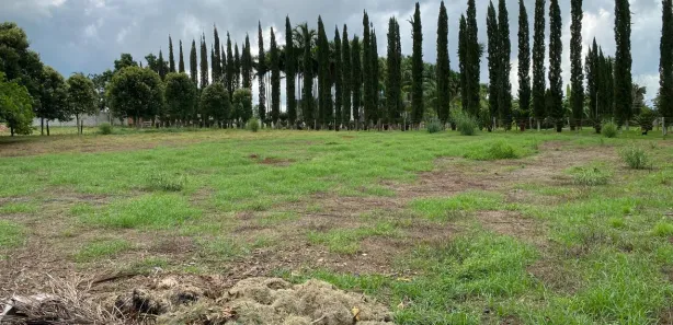 Fazenda/Sítio com 3 Quartos à venda, 48400m² no Área Rural, Goianira
