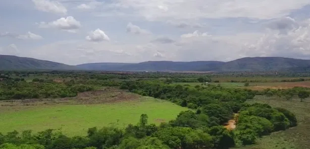 Fazenda/Sítio à venda no , Buritis