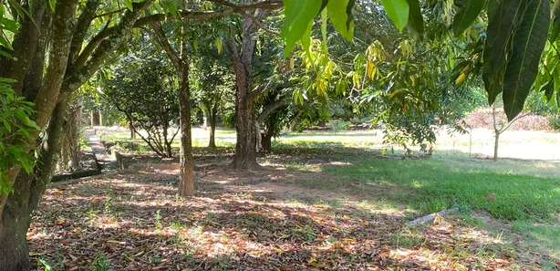 Lote/Terreno à venda, 1500m² no Centro, Dois Córregos
