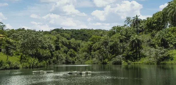 Lote/Terreno à venda, 20000m² no Lagoa Mansões, Lagoa Santa
