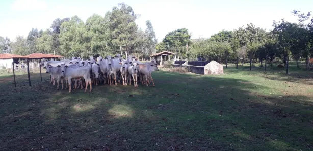 Lote/Terreno à venda, 20000m² no , Paraopeba