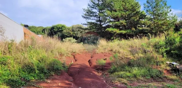 Lote/Terreno à venda, 960m² no Roselândia, Passo Fundo