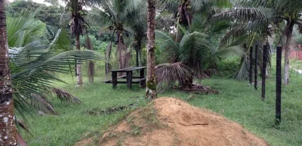 Lote/Terreno à venda no , Rio Preto da Eva