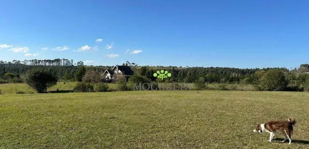 Fazenda/Sítio com 3 Quartos para venda ou aluguel, 559m² no , Balsa Nova