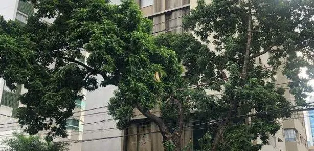 Apartamento com 2 Quartos à venda, 87m² no Savassi, Belo Horizonte