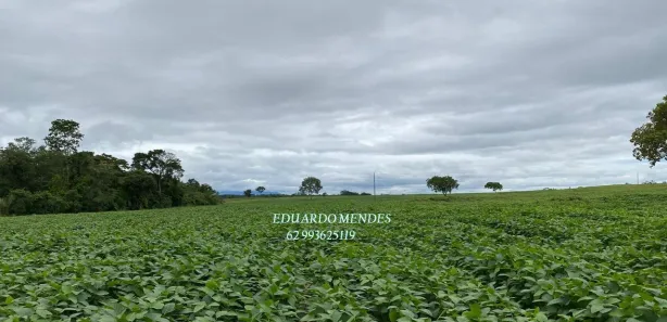 Fazenda/Sítio com 3 Quartos à venda, 2178000m² no , Niquelândia
